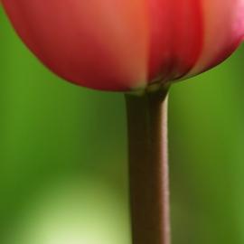 19张颜色艳丽的抽象摄影照片