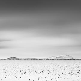 17张仙境般的黑白雪景摄影照片