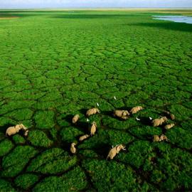 130张绝对惊人的航拍摄影照片