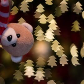 20张美丽的圣诞节散景摄影照片