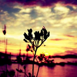 60张美丽与震撼的剪影摄影照片