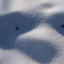 22张下雪后的创意摄影照片