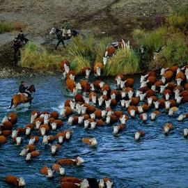 35张从天空看地球的摄影照片