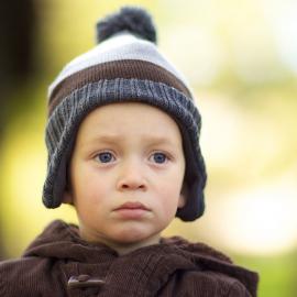 50张迷人的散景摄影照片