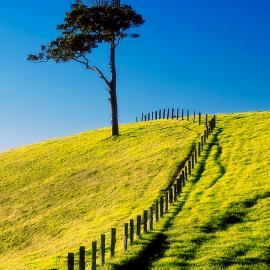 45张感觉清新的摄影照片
