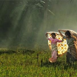 10张来自Arnov Setyanto的摄影作品