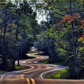 20张美丽的道路风景摄影照片