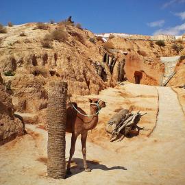 25张突尼斯小镇Matmâta的摄影照片