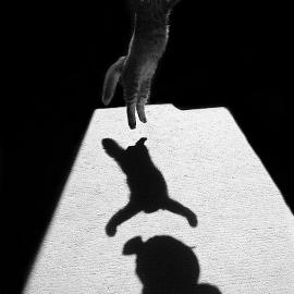 56张光和影子的光影摄影照片