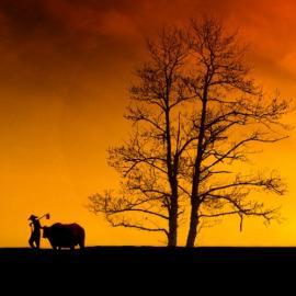 50张迷人的风景摄影照片