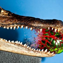 24张高清的高速摄影照片