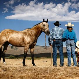 48张美国乡村摄影照片