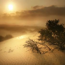 36张美丽的日出摄影照片