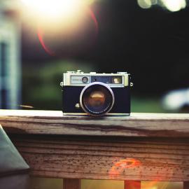 30张不错的背景虚化摄影作品