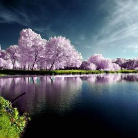 25张绝美的风景摄影照片