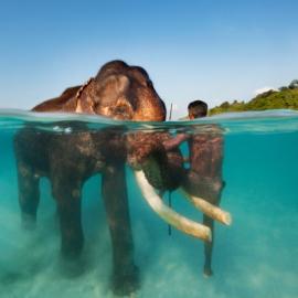 42张漂亮的印度摄影照片