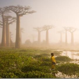 30张雾气朦朦的摄影照片