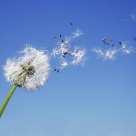 20张关于风的摄影照片