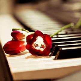 48张温情浪漫的摄影照片