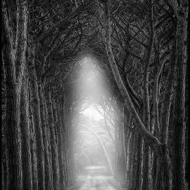 60张不错的对称摄影照片