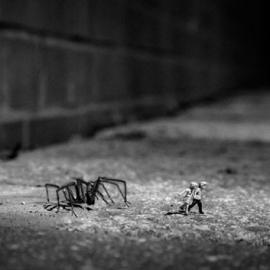 30张创意的模型摄影照片