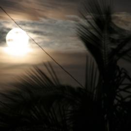 19张迷人的月夜摄影照片