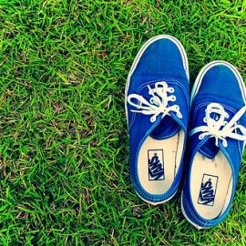 25张蓝色系的摄影照片