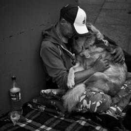 24张狗狗与人类的摄影照片