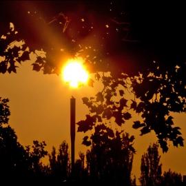 100张迷人的剪影摄影照片（Ⅱ）