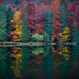 35张绝美的秋天摄影照片