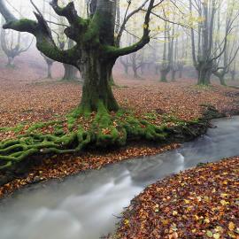 41张来自Joserra Irusta的风光摄影作品