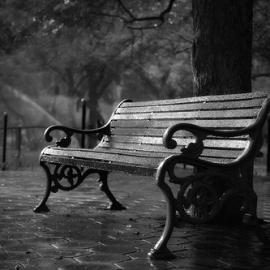 37张漂亮的公园长椅摄影照片