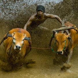 30张真实的动作摄影照片