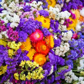 49张美丽的法国摄影照片