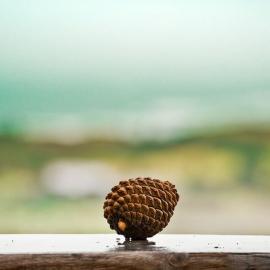 50张简约风格的摄影照片