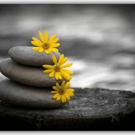 34个漂亮的颜色选择摄影照片