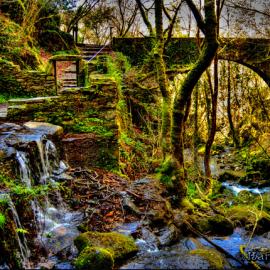 27张令人难以置信的摄影照片