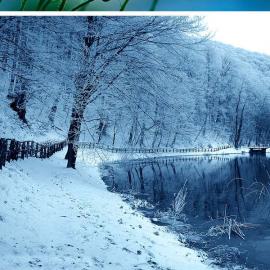 29张蓝色和绿色的摄影照片