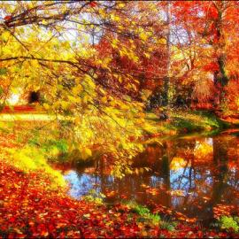 50张极美的秋天摄影照片