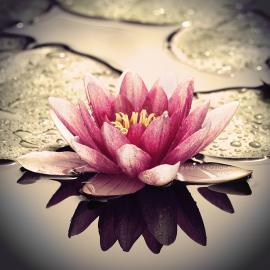 28张梦幻效果的摄影照片