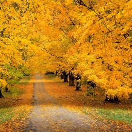40张精美的秋天风景摄影照片