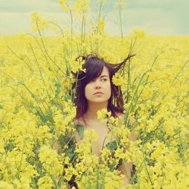 20张美丽的花景摄影照片