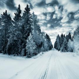 58张创意的冬季摄影照片