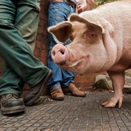 50张漂亮的创意摄影照片