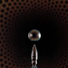 20张绝美的水滴摄影照片