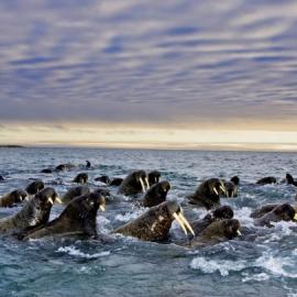 50张漂亮创意的摄影照片