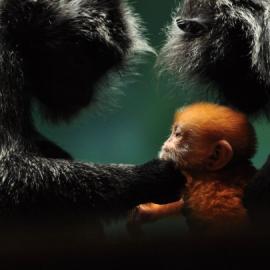 50张美丽漂亮的摄影照片欣赏