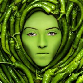 30张绿色系的摄影照片