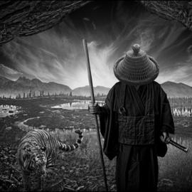 50张创意的艺术摄影照片