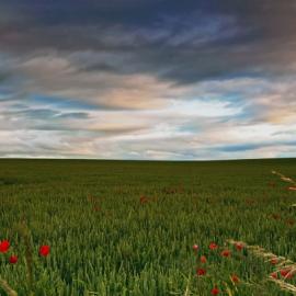 50张优秀的摄影照片欣赏